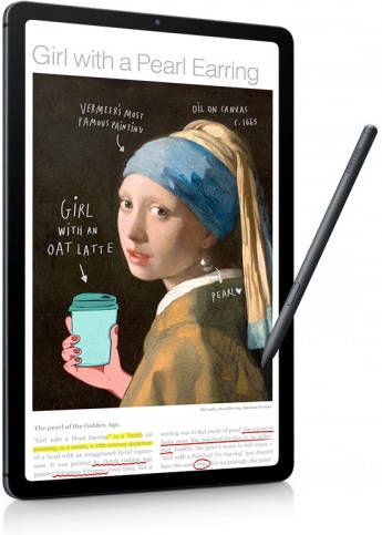 Samsung Galaxy Tab S6 Lite(2022)WiFi + 4G 64GB Tablet Grijs